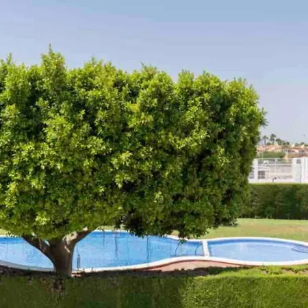 Apartment Acogedor Apartamento Con Piscina Cerca A La Playa Torrevieja